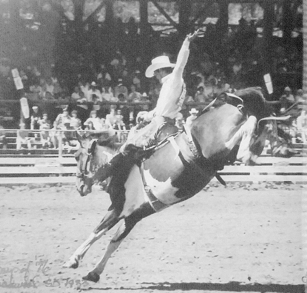 Jim Sevier - Nebraska Sandhills Cowboy Hall of Fame